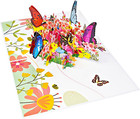 Butterflies Pop Up Card   Birthday Pop Up 3d Greeting Card  For Mothers Days 