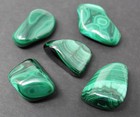 Malachite Tumbled Stone Large 1  - 1 5    a  Grade Natural Polished Crystal 