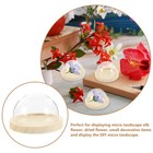  3 Pcs Miniature Glass Dome Display Case Small Clear For Collectibles