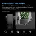 Hydrone 5  Plant Dehumidifier For Up To 2-3 Plants In Grow Tents