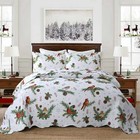 3pcs Winter Cardinals Christmas Quilt Set Bedspread Sets Decorated Warm Gifts