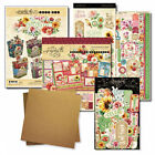 Graphic45 Season To Celebrate Bouquet Pop-up Card Kit Scrapbooking