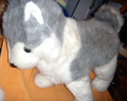 2 Rare Retired Ty 1993 Beanie Baby Buddy Timber Husky Dog 18     Dakota Soft 16 