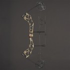 Archery Compound Bow Left Hand Set 19-70lbs 320fps Hunting Shooting Target Arrow