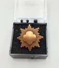 Girl Scout Bronze Award Pin   Badge Set Junior Highest Earned Award Post-2011