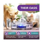 Brook Glass Pet Fountain  90oz 2 7l      Cat   Dog Water Fountain     Gl