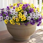 18 Pcs Faux Silk Pansy Flowers For Effortless Outdoor Elegance - Uv Resistant
