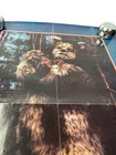 Vintage 80   s Star Wars Ewoks Lucasfilm Original 17   x22    Poster 1983