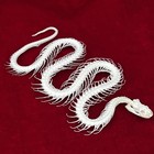 Professionally Cleaned Real Animal Skull - Snake Skeleton For Education   D  cor