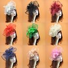 Lady Fascinator Hair Clip Hat Bowler Feather Veil Wedding Party Prom Headband