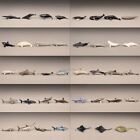 Mini Sea Life Animal For Diy Micro Figurine Resin Whale Toy  miniature Dollhouse