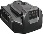 Ego Cs1201 Power  12in Compact Cordless Chain Saw Kit 2 5ah Battery Charger