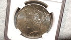 1925 P Peace Dollar Ngc Ms62 Uncirculated  1 Coin Buy It Now 