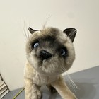 Avanti Applause Vintage 1987 Siamese Cat Plush Stuffed Animal  Jockline Italy 