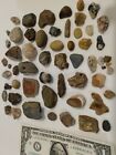 Incredible Fossil   Rock Collection Old Estate Find Rare Beatutiful Specimens