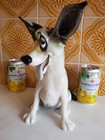 Pets With Personality - Ralph The Hound