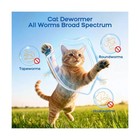 Dewormer For Cats And Kittens - Cat Dewormer All Worms Broad Sp    Fast Usa Ship