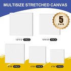 Stretched Canvas For Painting Multi 5 Pack Square Canvas 4x4  6x6  8x8  10x10   