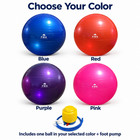 Fms 65cm Exercise Stability Ball With Pump Yoga Pilates Core Balance Fitness