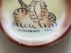 Antique Lil  Black Sambo Hungry Lion Souvenir Plate Tray Oceanlake Or Oregon Vg