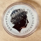 2004 Australia  1 One Ounce  999 Selectively Gold Plated Silver Kangaroo Coin Og