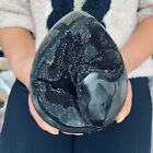 6 93lb Natural Septarian Dragon Stone Quartz Specimen Crystal Reiki Healing