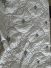 Pottery Barn Teen Harry Potter Mystical Velvet Full Queen Quilt Sage Green