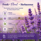 Lavender Essential Oil By Greenhealth Sizes 5ml - 1gal