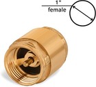 Brass One Way Check Valve 1 Inch Backflow Preventer Female Npt Thread 