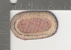 Ww 2 Us Army 82nd Airborne Division Oval Inv  K1061