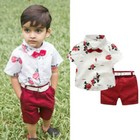 Toddler Kid Baby Boys Flower Tops T-shirt Short Pants Outfits Clothes Summer Set
