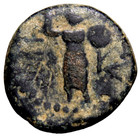 Judaea Roman Provincial Coin