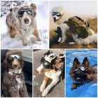 Dog Goggles Dog Sunglasses For Medium To Large Breed Anti-uv Eye Protection With