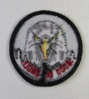 Wood Badge Good Ol  Eagle Patrol Patch Boy Scout Leader Scouting America