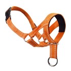 Dog Head Harness No Pull Stop Adjustable Head Collar Pet puppy Training M L Xl