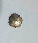 Vintage Woodmen s Circle Seneca Falls New York Woman s Suffrage Pin Pinback