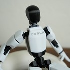 Tesla Robot Fully Articulating Posable Action Figure