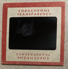 Three Ladies And Shirtless Man Kodak Red Border Photo Slide Mid To Late 50s