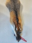 Tanned Grey Fox Hide  red Tag