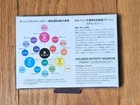 Holbein Artists  Gouache Japan Import Primary Colors Set 15ml Tubes New Cmykw