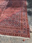 Majestic Antique Oriental Rug  9x12 Bijar - 13a