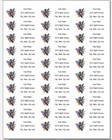 150 Beautiful Hummingbirds Return Address Labels Personalized Printed