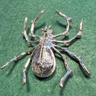 Sparkling Rhinestone Spider Brooch Pin Silver Tone Halloween Statement Piece