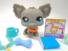 Littlest Pet Shop Chihuahua  836 With Cute Accessories Authentic