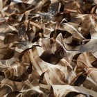 Senmortar Camo Netting  Bulk Roll Camouflage Netting  Military Hunting Mesh Free