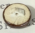 Small Vintage Ceramic Button With A Windmill  Gold Luster Detail    