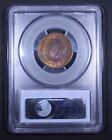 1864 Two Cent Piece  large Motto  - 2c Pcgs Ms64 Rb Cac     - Red Brown