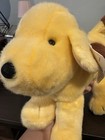 Vintage Nwt 1993 Eden Toys    fun With Spot    Spot Puppy Dog Plush