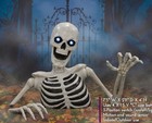New Giant 7   5    Ground Breaking Skeleton With Led Eyes And Sound Ships Now      