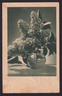 Latvia 1942 Ostland  Postcard From Ventspils To Seit  Flowers  Wwii
